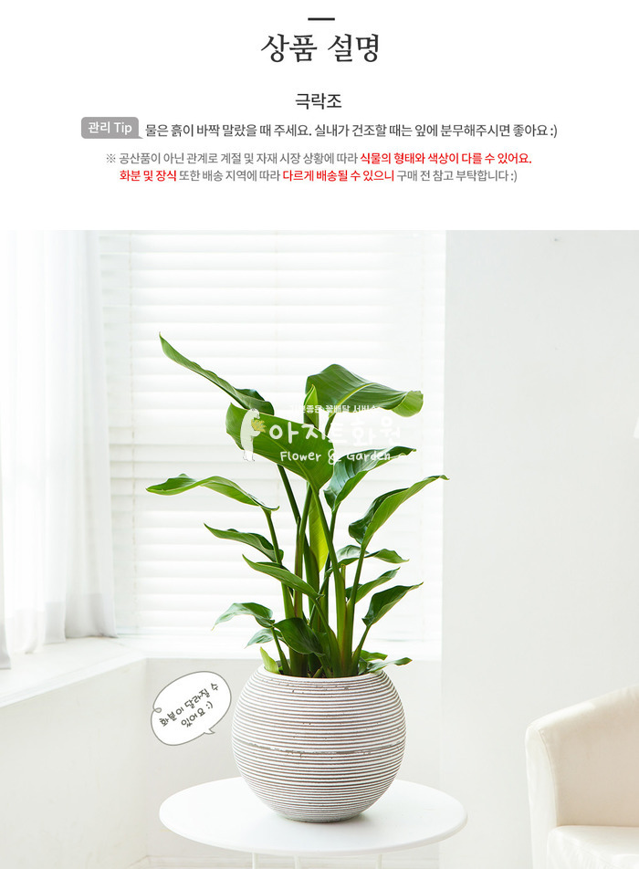 상세이미지