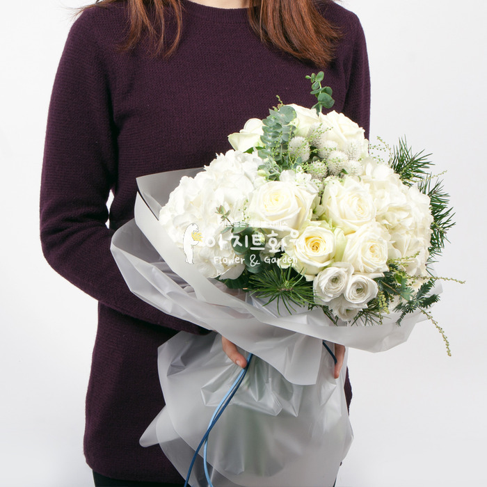 상세이미지