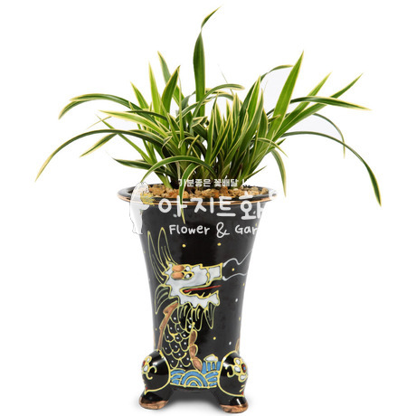 대국e5030