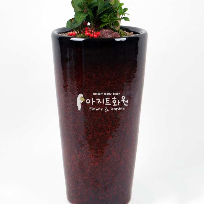 상세이미지