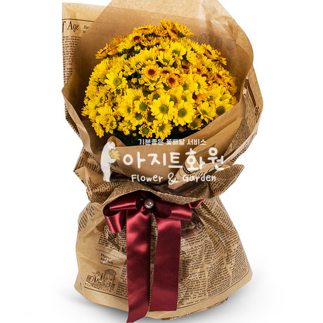 황금여신 소국