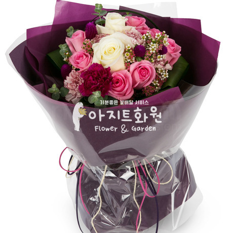 핑크빛사랑