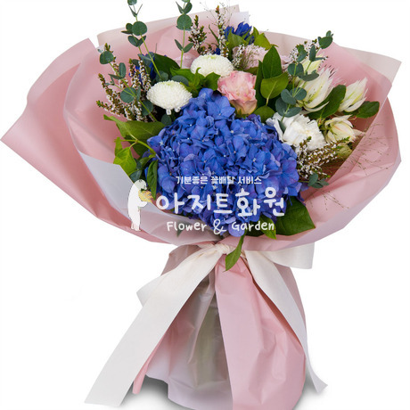 행복을 안겨주어요♡