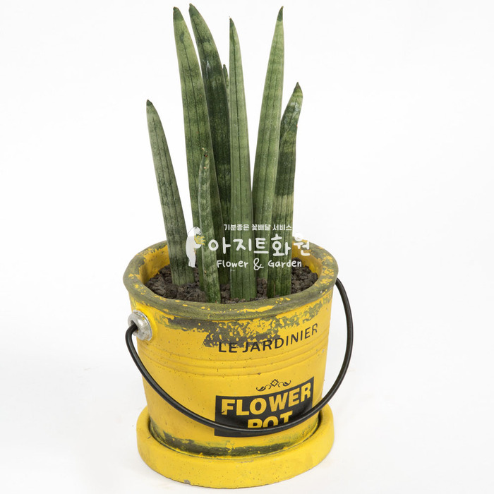 상세이미지