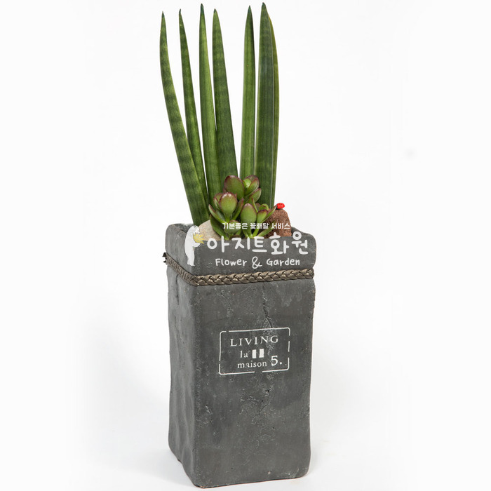 상세이미지
