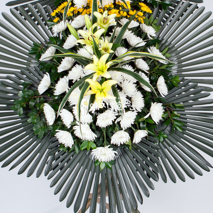 상세이미지