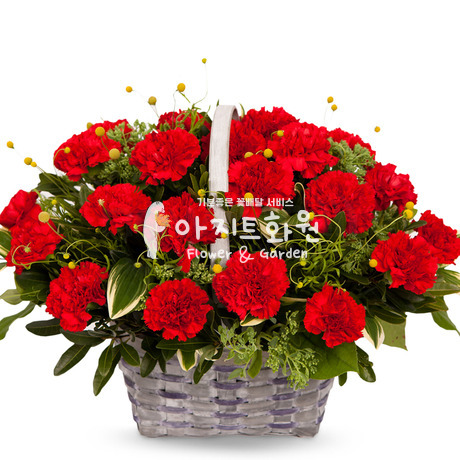 항상 감사드립니다♡