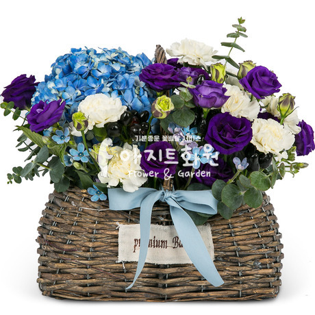프로방스~♡