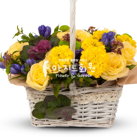 상쾌한 아침