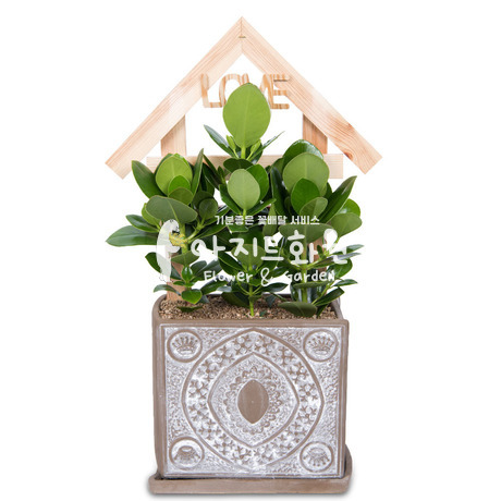 크루시아 테이블용