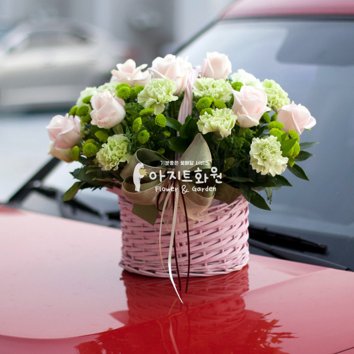 상세이미지