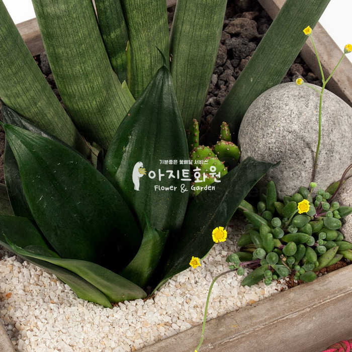 상세이미지