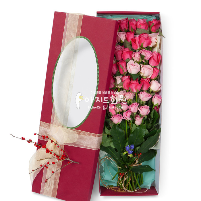 상세이미지