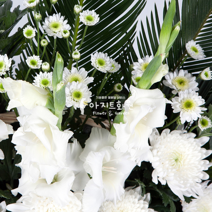 상세이미지