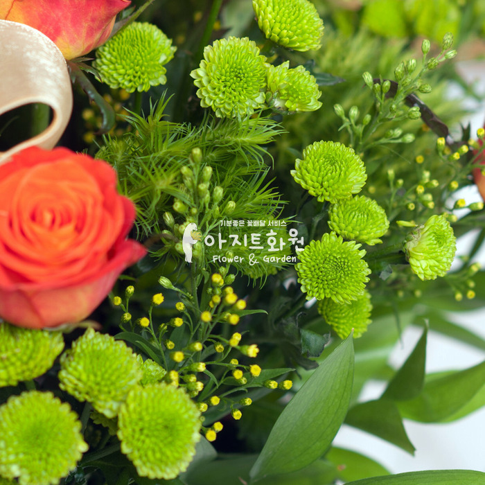 상세이미지