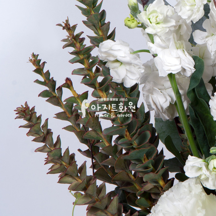 상세이미지