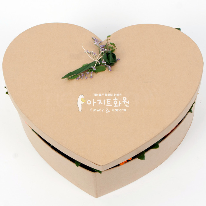 상세이미지
