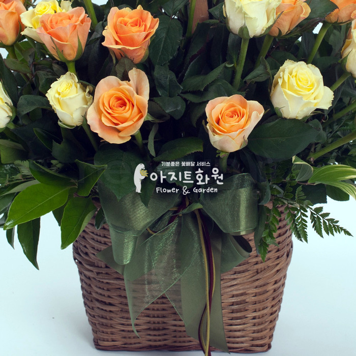 상세이미지