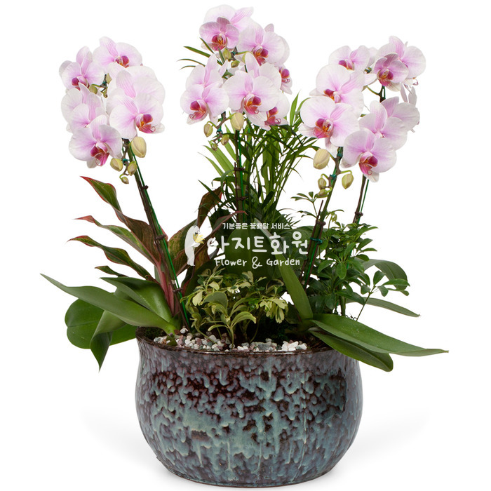 상세이미지