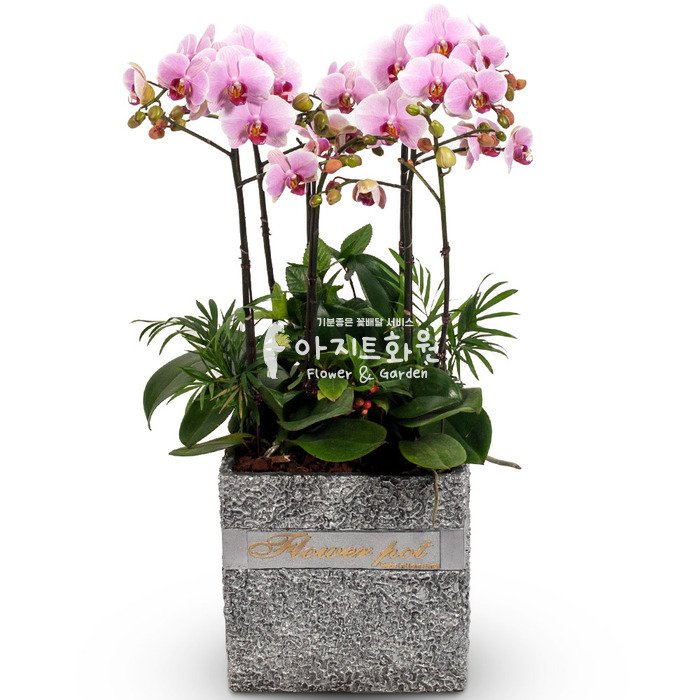 상세이미지