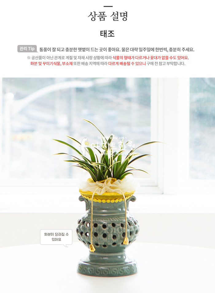 상세이미지