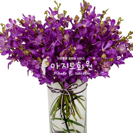 모카라화병