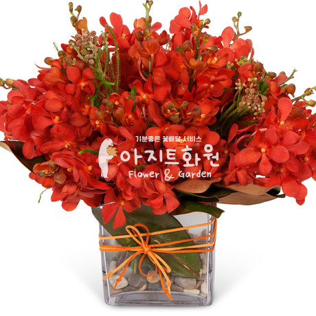 레드모카라화병