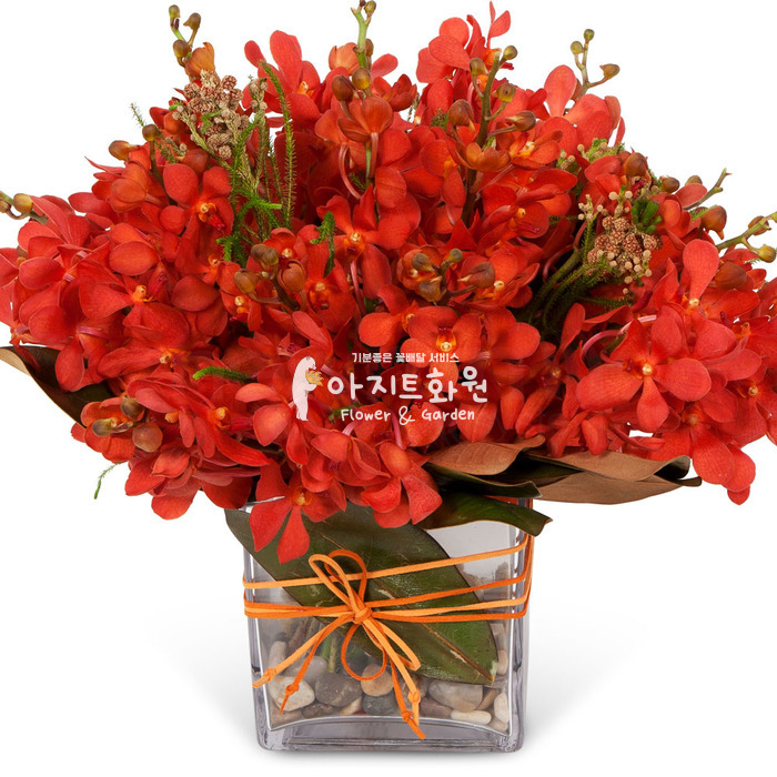 상세이미지