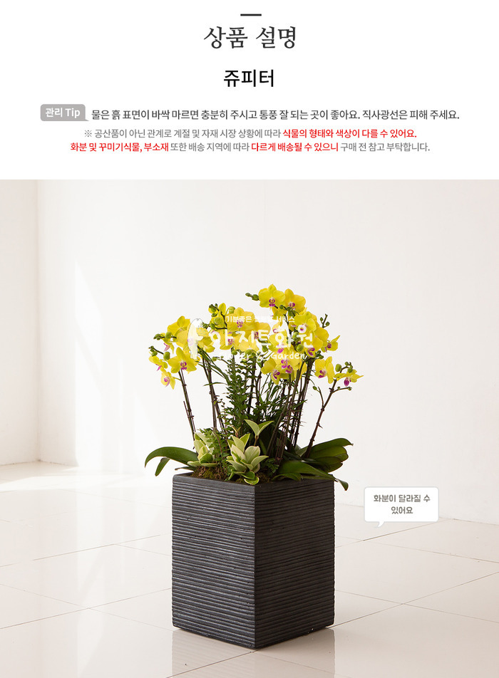 상세이미지