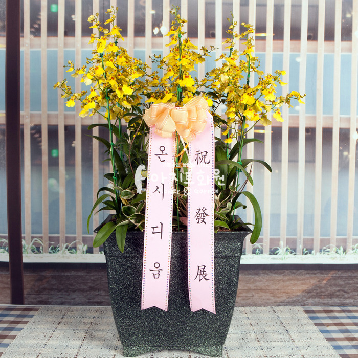 상세이미지